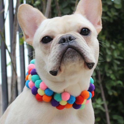 Rainbow Flower Dog Collar