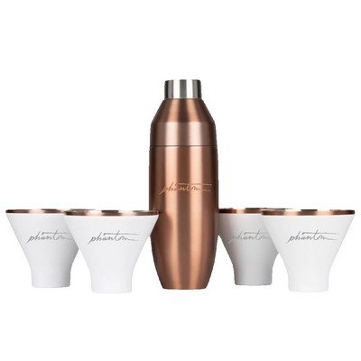 Insulated Cocktail Shaker and Martini Tumbler Set