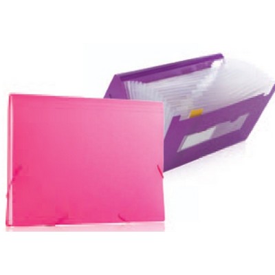 Assorted Pack Neon Letter Size Expanding File w/12 Tabbed Pockets