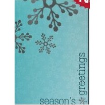 Classic-Season's Greetings Blue & Silver Holiday Greeting Card