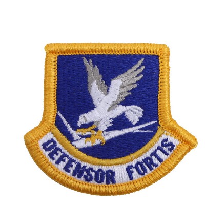 US Air Force Flash Patch