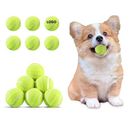 2.5inch Dog Training Tennis Balls