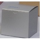 Tinted Gloss Silver Tuck-It® One-Piece Folding Gift Box (12"x6"x6")