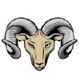 Ram Stock Temporary Tattoo