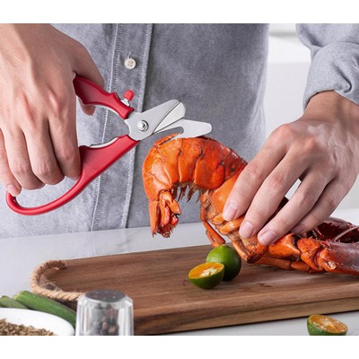 Removable kitchen Shears Scissors