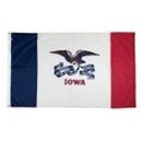 Iowa Indoor Parade Flag w/Pole Hem & Fringe (5'x8')