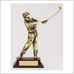 Medium Male Golfer Award w/Base