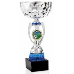 13" Assembled Silver/Blue Cup Trophy