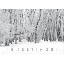 Winter's Special Visitors Greeting Card