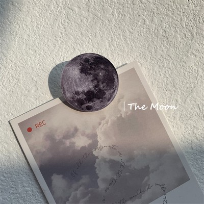 The Moon Shaped Acrylic Album Memo Clip Bag Binder Sealing Clip Food Bag Clamp-Two Sides Imprint