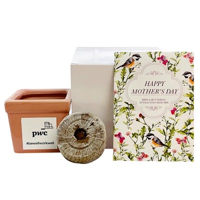 Mother's Day Flower Seed Kit in Ceramic Pot