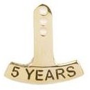 5 Year Stock Die Struck Pin