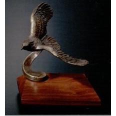 Soaring with the Wind Eagle Award