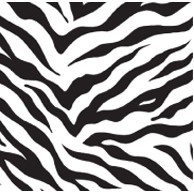 Zebra Stripes Celebration Gift Wrap (833')