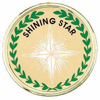 2" Shining Star Mylar Medallion Insert Disc