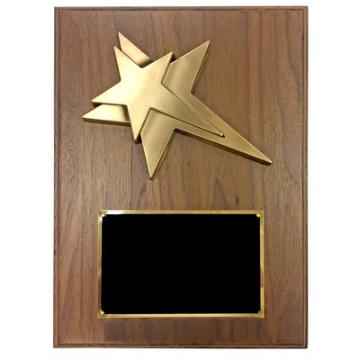 Medium Modern Star Plaque (8" x 10")