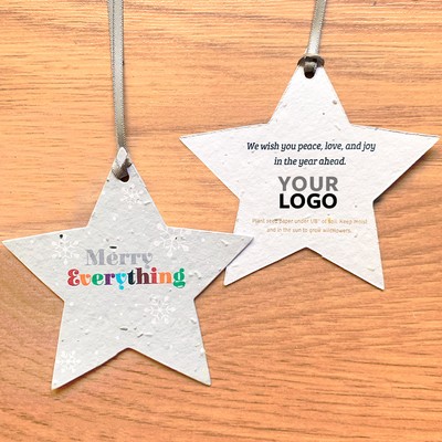 Merry Everything Star Plantable Holiday Ornaments