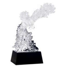 Director's Crystal Eagle Award