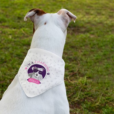 Pet Bandana Full Color 19x19