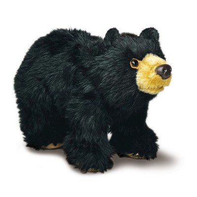 Black Bear