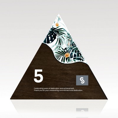 Triangle Acrylic & Wood Award