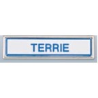 Metal Framed Plastic Name Badge (5/8"x 2 5/8")