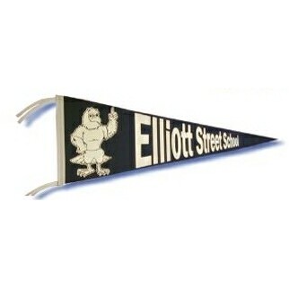 Medium Wall Pennant w/1 Color Print