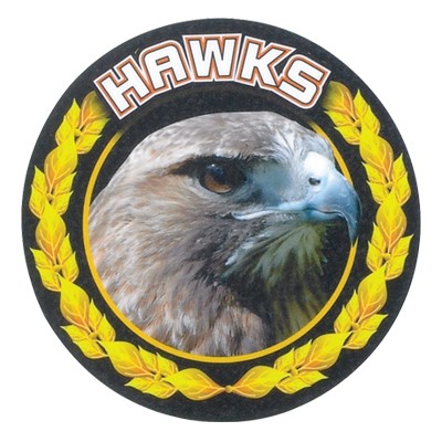 2" Hawks Mascot Mylar Medallion Insert Disc