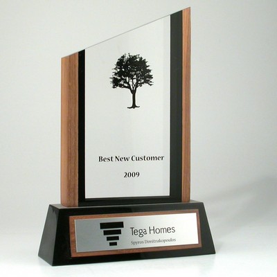 Wood Lucite® Embedment Award on Base (6 1/2" x 9 5/8" x 2 1/4")