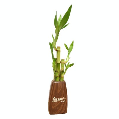 5" Woodgrain Elegant Vase with 5 Lucky Bamboo Stalks