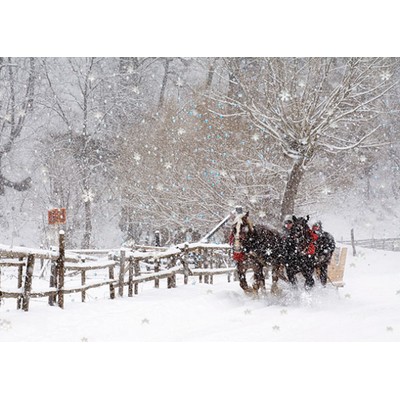 Snowy Sleigh Ride Greeting Card