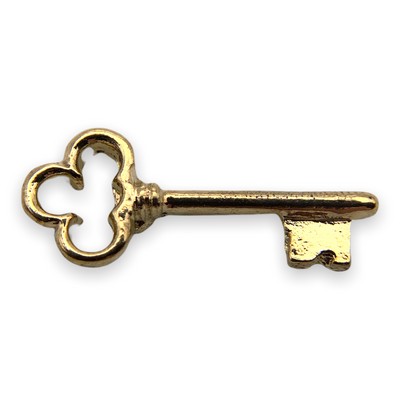 Stock Key Lapel Pin