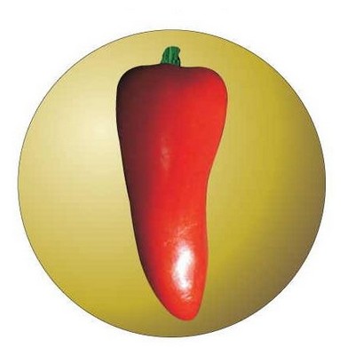 Red Chili Pepper Round Metal Photo Magnet (2 1/2")