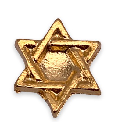 Six Point Star Lapel Pin