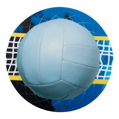 2" Volleyball Mylar Insert Disc