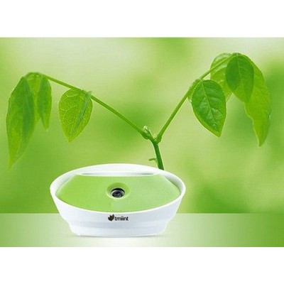 Air Humidifier w/Night Light