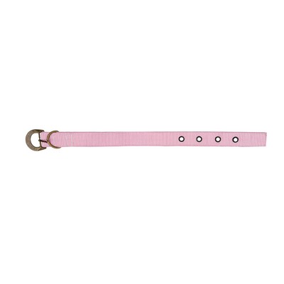 Poly Cotton Premium Small Buckle Dog Collar 12" - 16"