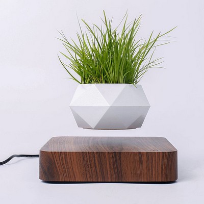 Magnetic Levitating Floating flower planter