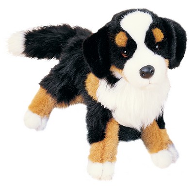 Trevor Bernese Mountain Dog