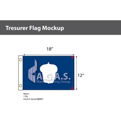 Treasurer Deluxe Flags 12x18 inch