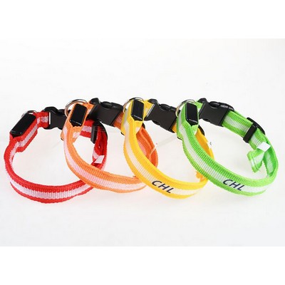 Pet Collar w/Stripe