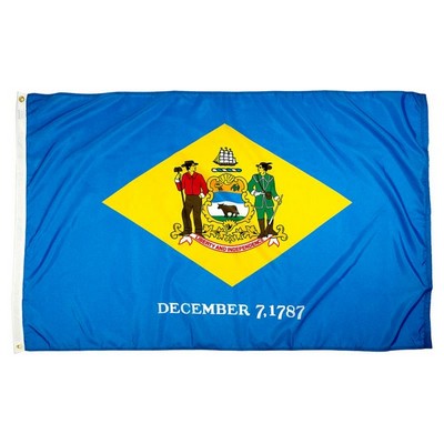 Delaware Indoor Parade Flag w/Pole Hem & Fringe (3'x5')