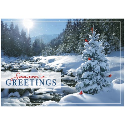 Sweet Seclusion Holiday Cards