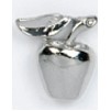 Silver Apple Stock Casting Lapel Pin