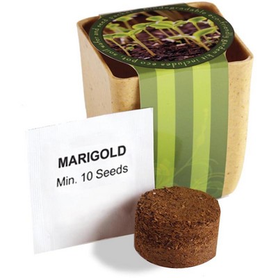 Flower Pot Set with Marigold Seeds