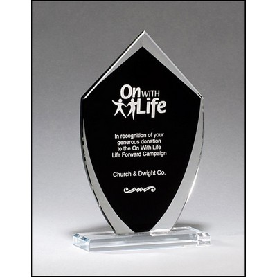 Zenith Shield Glass Award