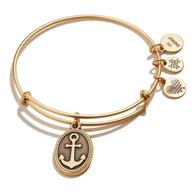 Alex and Ani® Anchor Charm Rafaelian Gold Bangle