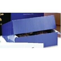 1 Piece Folding Pastry Box (10"x10"x4.5")