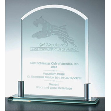 Vertical Arch Award w/ Aluminum Holder Base (A)