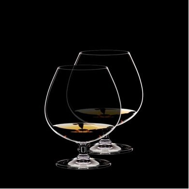 Riedel Vinum Brandy Snifter Glass Set of 2